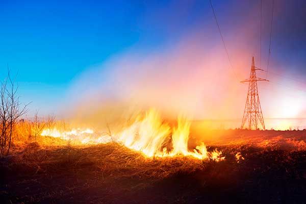 Klimaatverandering leidt tot natuurbrand